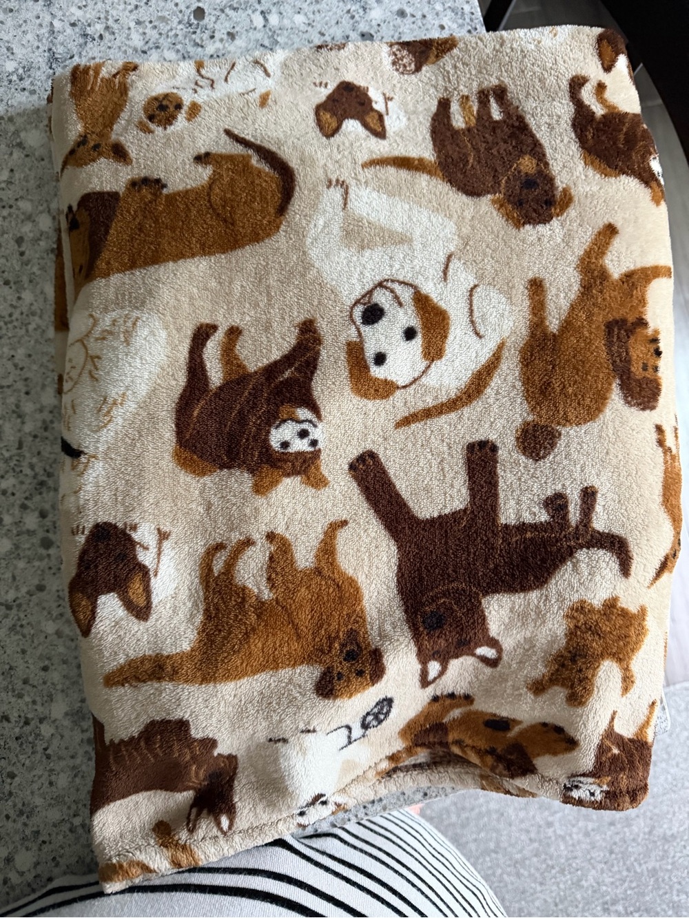Plush Small Pet Blanket - Brown Dog Print